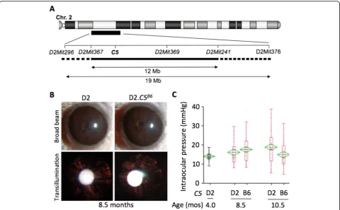 Figure 1 Progression of iris disease and intraocular pressure (IOP) profiles in DBA/2J and D2.the only gene in this region that has a null mutation in D2 compared with B6.transillumination (bottom) found no obvious differences in iris disease progression b