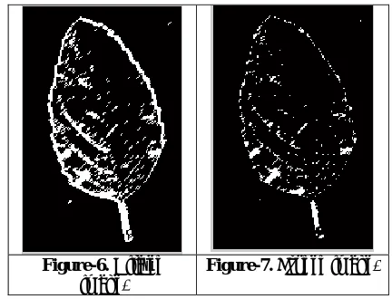 Figure-6. Dilated image. 