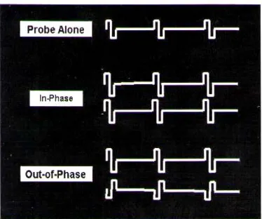 Figure 1: The top trace shows the biphasic pulse presented to a single electrode in the “probe alone” condition