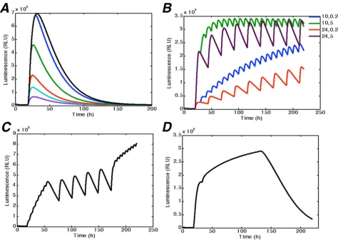 Figure 8Model simulation and predictionsred pulse or the 10 min red pulse with a subsequent 10 min far-red pulse at 0, 0.5, 1, 3 and 9 h after the red pulse