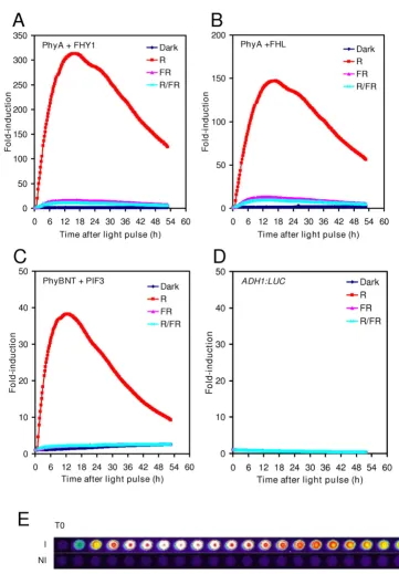 Figure 2Light switchable light outputConsecutive luminescent images taken in every two hours are shown
