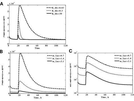 Figure 7Investigation of the crucial parameters by simulation of the modelrate of luciferase