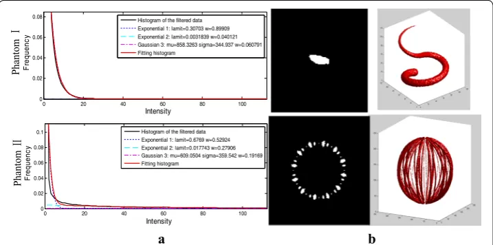 Fig. 4 Experiments on phantoms. tion curves together with their fitting curves. a The estimated two Exponential distributions and one Gaussian distribu-b The segmentation results with their slices and 3D views
