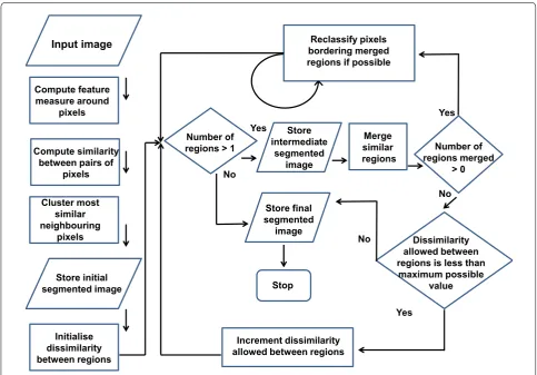 Fig. 1 Flowchart to illustrate the overall operation of the HCS process