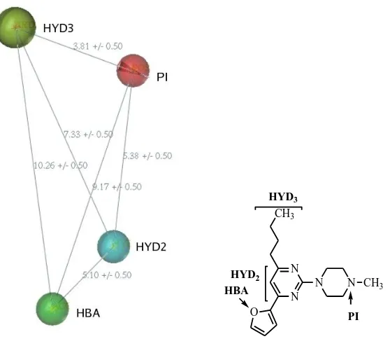 Figure 4. Pharmacophore Model for Selective 5-HT7 Antagonists. 