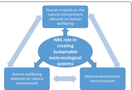 Fig. 1 The central role of nature‑based solutions is to mediate the interactions between the natural environment and human wellbeing
