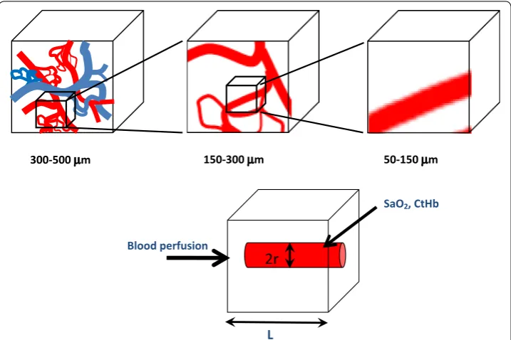 Fig. 1 Schematic illustration of the vascular reduction as function of the voxel size