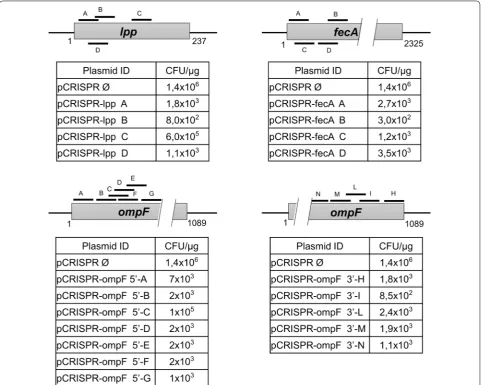 Fig. 2 Selection of gDNAs for mutation of ompF, lpp and fecA genes. The grey bars are a schematic drawing of the genes lpp, fecA and ompF, and the black lines labelled with letters indicate the positions where the gRNAs transcribed from their corresponding