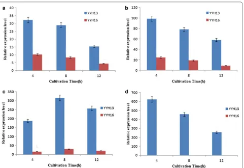 Fig. 8 Effects of cellobiose on YYH137902 and YYH1612 (a), YYH13952 and YYH1611163 (b), YYH134611 and YYH164503 (c), YYH1311079 (d) beta-glucosidase genes expression in YYH13 (T