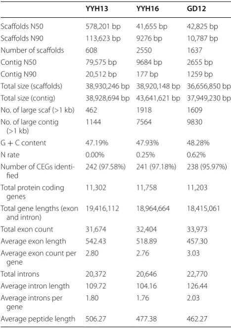 Table 1 Sequencing data size and output quality in YYH13 and YYH16
