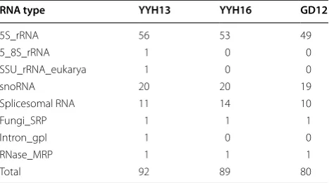Table 4 Repetitive element annotation in YYH13, YYH16, and GD12