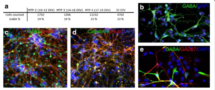 Fig. 4). Moreover, if the proportion of the inhibitory and excitatory neurons is incor-rect, the strengths and ratio of excitatory and inhibitory neurons in the simulation can compensate for this situation