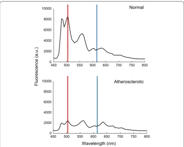 Fig. 1 Fluorescence spectra of rabbit abdominal aorta samples. Resulting spectra of rabbit aorta samples indicated that fluorescence intensity at 505 nm (marked in compared to atherosclerotic samples