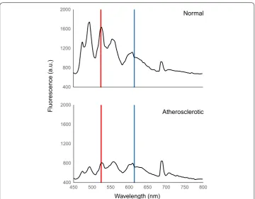 Fig. 4 Reconstructed ratio image or “disease map” of a human coronary artery. Difference in fluorescence intensity in normal and atherosclerotic artery samples allowed for discrimination between normal and diseased sites via ratio imaging