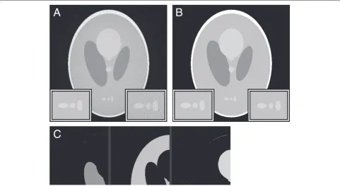 Fig. 8 Plain reconstruction processed with Weka. a The “plain” reconstruction from Fig