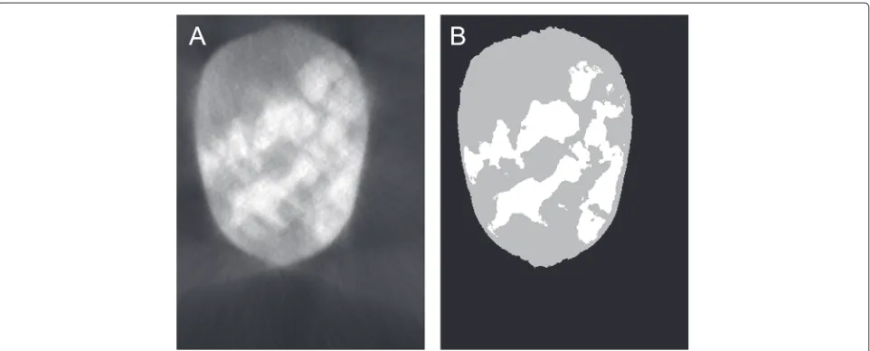 Fig. 12 Weka-processed experimental data 2.that slice without further training ( a A different slice from the same data volume as Fig