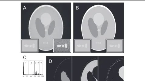 Fig. 3 Plain reconstruction, processed with NAD. a The reconstruction from Fig. 1 but processed with NAD