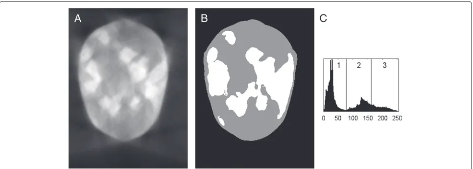 Fig. 7 NAD-filtered experimental data. a A NAD-filtered version of Fig. 6a. b The result of a 3-level Otsu threshold operation on the filteredreconstruction
