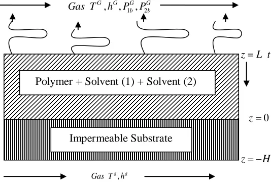 Figure 1 Schematic of a drying coating.  