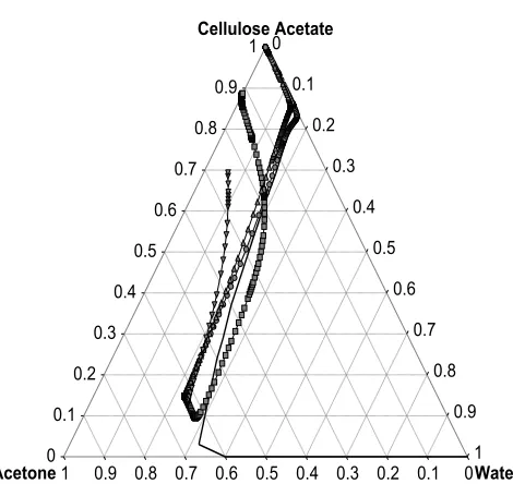 Figure 3. Concentration paths for cellulose acetate –water-acetone system. (Case 1. volume fraction of cellulose acetate, water, and acetone is 5, 20 and 75 respectively, surface-air interface - ○, solution –substrate interface- □