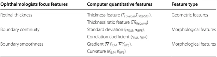 Table 3 Computerized quantification of  retinal features (Regions = [PE_L, PA_L, Fovea, PA_R, PE_R])