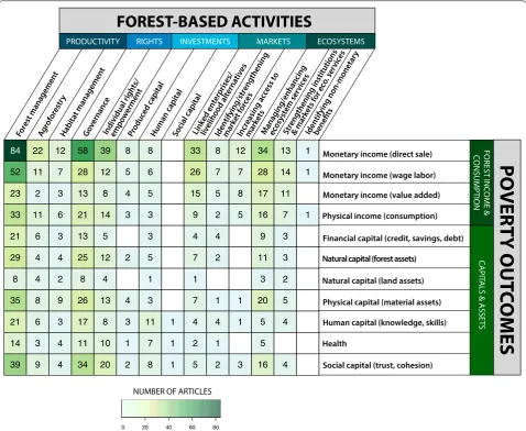 Fig. 10 Distribution of evidence across PRIME forest-based productive activities and dimensions of poverty outcomes