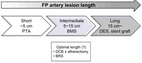 Figure 1 Considered stent type for each femoropopliteal lesion length. Short femoropopliteal lesions up to 5 cm can be treated with PTA, intermediate lesions 5–15 cm should be treated with BMS rather than only PTA, and a DeS or stent graft can offer superi