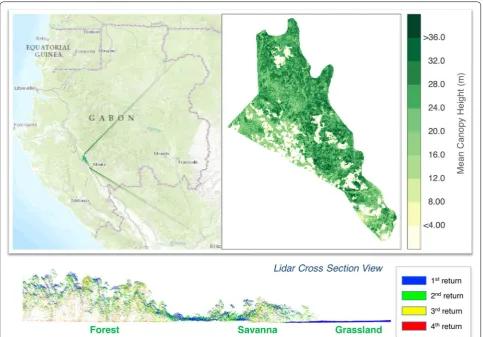 Fig. 1 Study site in Mouila, Gabon. The mean canopy height (MCH) was spatially averaged to 100 × 100 m from airborne lidar-derived CHM prod-uct at 1-m spatial resolution