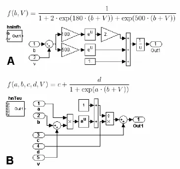 Figure 2.  organizational level. (B) The voltage dependent time constant of activation of IElemental Functions