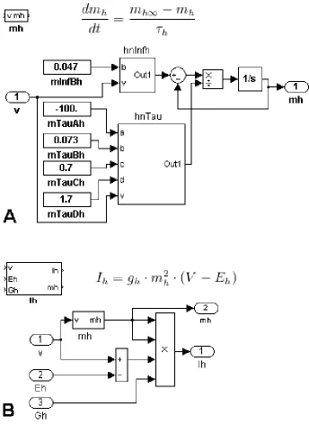 Figure 3.  equation for Higher Level Equations. (A) The activation variable for Ih is represented by the  and can be put together using preexisting functions for steady state of activation and time constant of activation (see Figure 5)