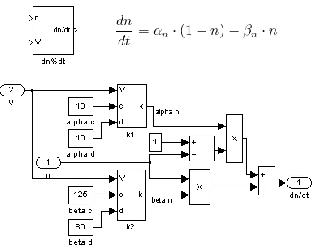 Figure 6.  Derivative equations. The maximal conductance of a current is determined by the component gating variables