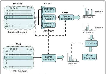 Fig. 4 Classification based on a bag of sparse features