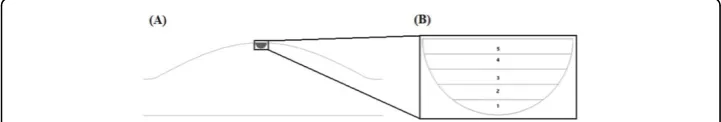 Figure 6 (A) Illustration of experimental hemispherical cap of fluid extracted from idealisedaneurysm