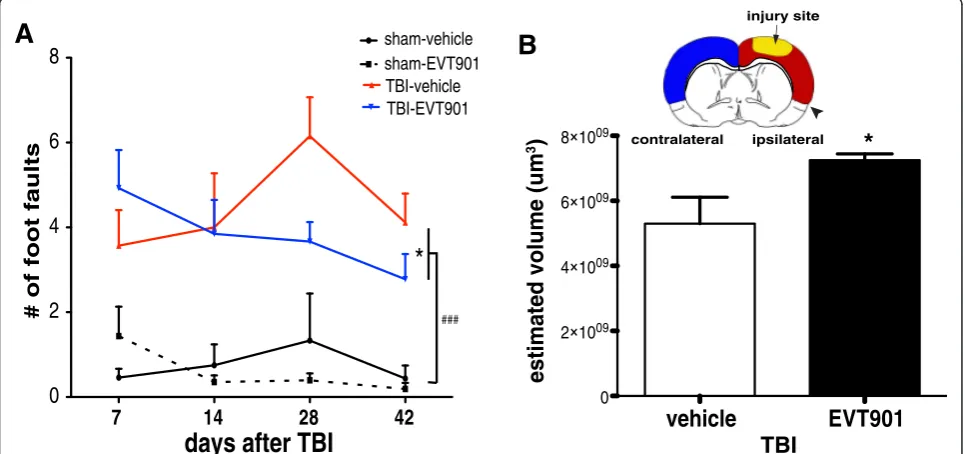 Fig. 8 EVT901 treatment improved motor function and reduced brain damage after TBI.side of TBI