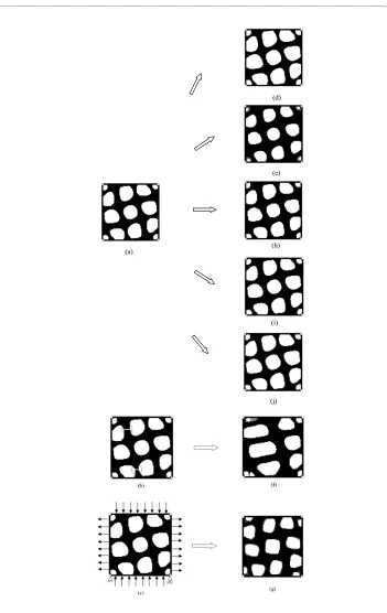 Figure 5 The homeostatic architecture of the bone model, the initial architectures and loading condi-tions of the seven simulation cases, and their simulation results