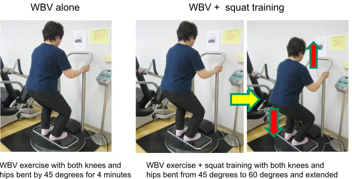 Figure 1 WBV exercise and squat training. WBV exercise was performed using a galileo machine (g-900; novotec, Pforzheim, germany)