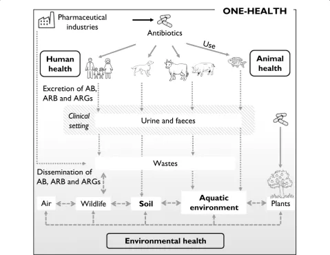 Fig. 1 Dissemination pathways of antibiotic residues (AB), antibiotic‑resistant bacteria (ARB) and genes (ARGs) in the environment