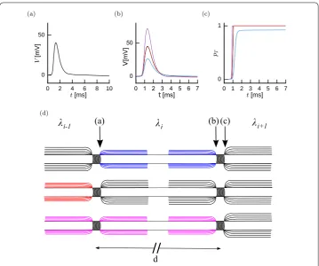 Figure 1 The Stochastic Spike-Diﬀuse-Spike Model. (Probability of transmission as a function of time for the intact and the three cases of damage