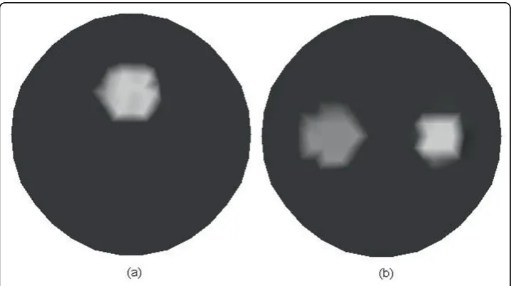 Figure 2 Simulated phantoms for FMTand the background medium with absorption coefficient of 0.06the background medium withwith high absorption coefficient of 0.2