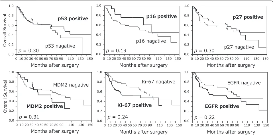 Figure 2 Kaplan-Meier curves of patients with esophageal squamous cell carcinoma according to CD133 expression.significantly longer in CD133-positive patients than in CD133-negative patients (free survival and CD133 status ( Overall survival wasP = 0.049)