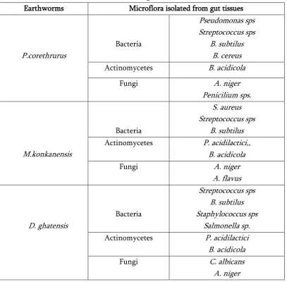 Table 4. Microflora isolated from gut tissues of local earthworms 