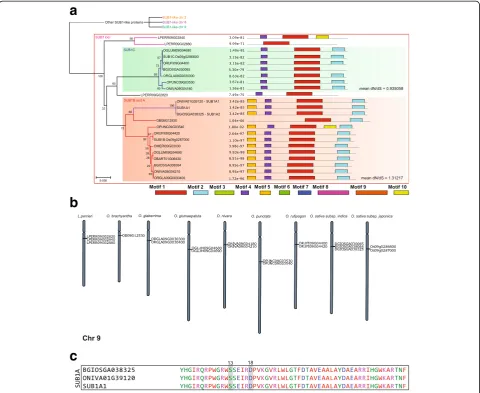 Fig. 1 SUB1SUB1A-loci in eachspecies analyzed, genes in red areFull version and motif logos are available in Additional file 3: Figure S2 and Additional file 11: Figure S8