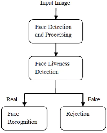 figure depicts the overall system of liveness detection. 