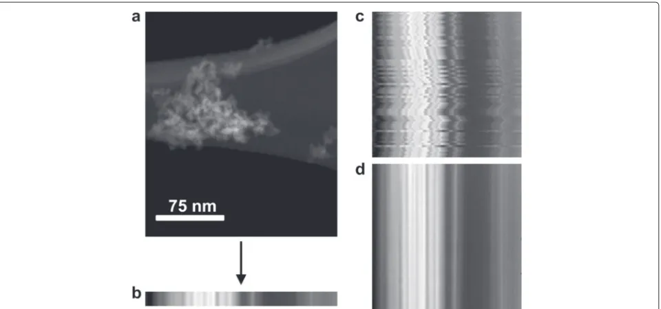 Figure 2 Images demonstrating the alignment along the x-axis. (a) 2-D projection image taken at a 30°tilt about the x-axis