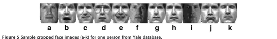 Table 3 Performance of the considered approaches on FERET database