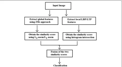 Figure 1 Flow chart depicting the procedure involved in fusion of the ZM and LBP/LTP descriptors.