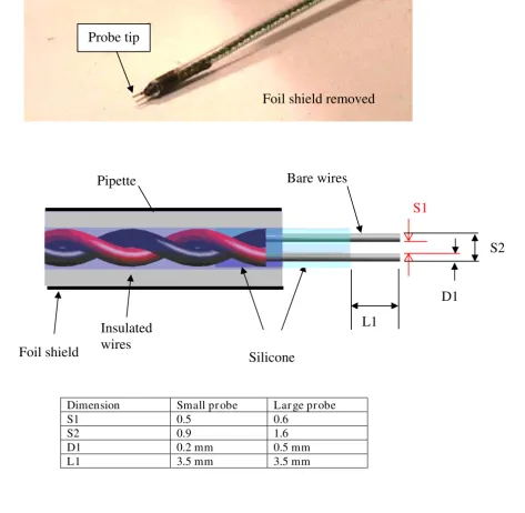Figure 4The 2-electrode probeThe 2-electrode probe.