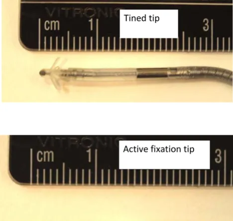 Figure 5Pacemaker lead tipsPacemaker lead tips.