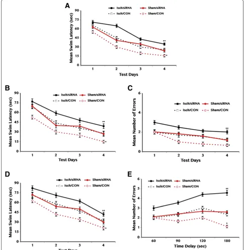 Figure 6RETRACTED CX3CR1 deficiency cause cognitive impairment. Transient global cerebral ischemia resulted in increased mean swim latency in thecued learning task (A), discrimination learning task (B), and delayed non-matching-to-sample task (D) compared 