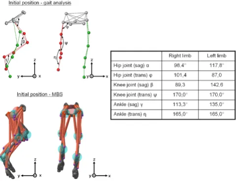 Figure 1marks (labels within illustration) of the hind limbRetroreflective markers positioned at selected bony land-Retroreflective markers positioned at selected bony landmarks (labels within illustration) of the hind limb